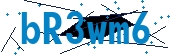 recaptcha